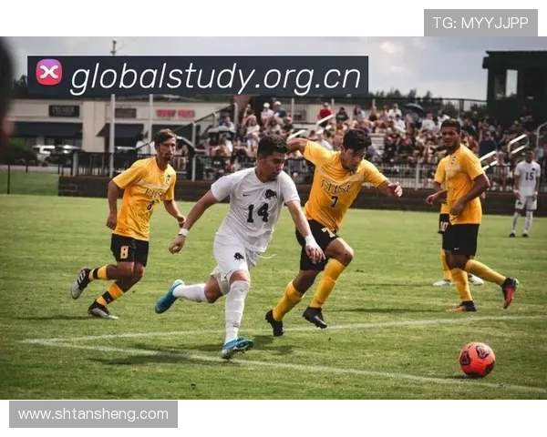 ✅体育直播🏆世界杯直播🏀NBA直播⚽- 11月25日“农产品批发价格200指数”比上周五上升0.04个点- sports